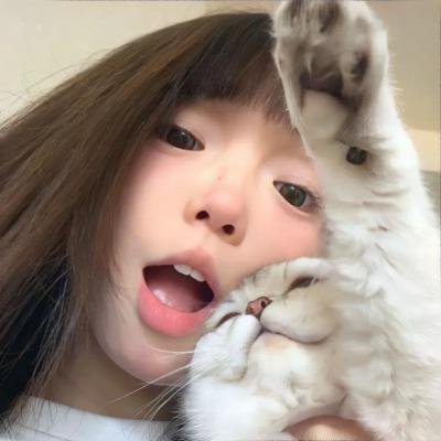 动漫综艺